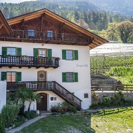 Ferienwohnung Brunjaunhof 思科纳 外观 照片