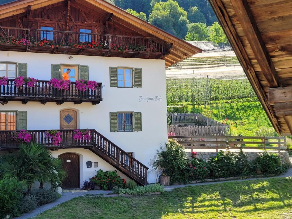 Ferienwohnung Brunjaunhof 思科纳 外观 照片